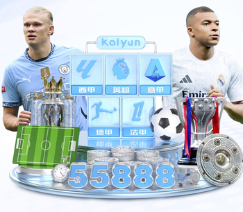 安布罗西尼：2003